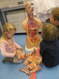 Kindergarten Dobl_Besuch FH Joanneum4a