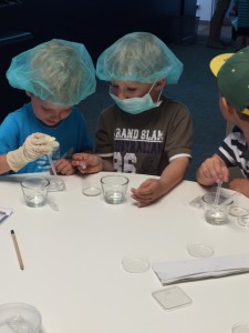 Kindergarten Dobl_Besuch KIWI_31-05-2016 4