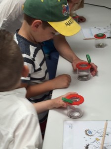 Kindergarten Dobl_Besuch KIWI_31-05-2016